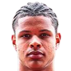 拉斐尔·马克·勒冈