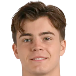 里奥·卡斯尔丁