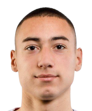 马林·柳比西奇